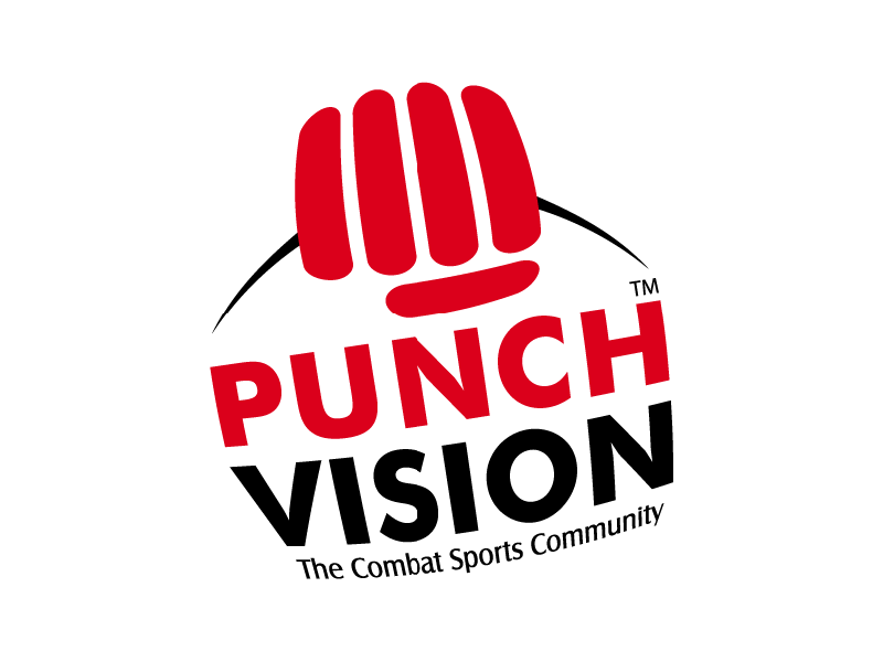 PUNCHVISION  logo